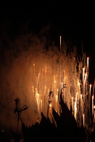 fireworks_007