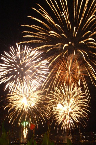fireworks_009